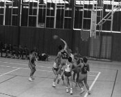 bbcd1 1968_002 My beautiful picture