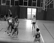 bbcd1 1968_005 My beautiful picture