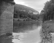 parc 1961_002 My beautiful picture