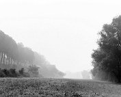 laanscht sauer 1962_001 My beautiful picture