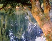 vues dikrich 1962_004 My beautiful picture