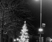 chrschtbam sauer 1964_008 My beautiful picture