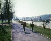 parc 1964_001 My beautiful picture