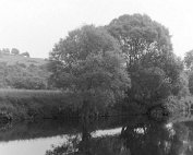 parc 1968_007 My beautiful picture