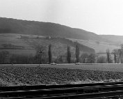 emgigend 1969_009 My beautiful picture