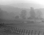 emgigend 1969_013 My beautiful picture