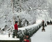 wanter 1974_005 My beautiful picture