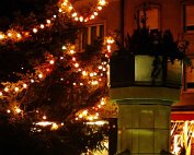 chrschtbam 4.12.1977_002 My beautiful picture