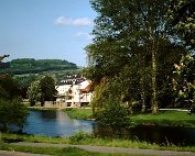 lanscht sauer 22.5. 1977_002 My beautiful picture