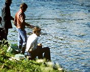 lanscht sauer 22.5. 1977_004 My beautiful picture