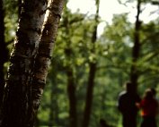 lanscht sauer 22.5. 1977_010