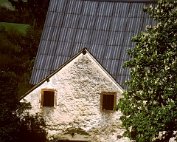 lanscht sauer 22.5. 1977_012 My beautiful picture