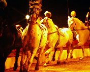 zirkus 12.11.1978_004 My beautiful picture