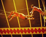 zirkus 12.11.1978_009 My beautiful picture