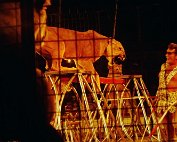 zirkus 12.11.1978_017 My beautiful picture