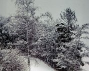 dikrich 14.1.1979_009 My beautiful picture