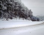 dikrich 14.1.1979_010 My beautiful picture