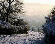 dikrich 14.1.1979_016 My beautiful picture