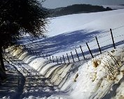 dikrich 14.1.1979_019 My beautiful picture