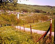 ausfluch an iessen 15.5.1980_001 My beautiful picture