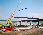 Cactus_002 My beautiful picture