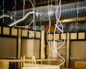 Cactus_011 My beautiful picture