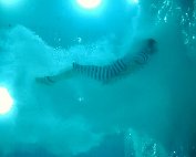 Wasserball_010 My beautiful picture