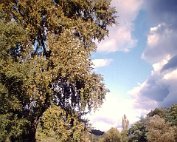 parc 11.10.1981_002 My beautiful picture