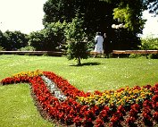 dikrich 06.1982_012 My beautiful picture