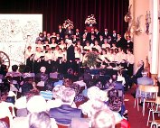 kinz 5.4.1982 _004 My beautiful picture