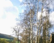 Parc 13.4._008 My beautiful picture