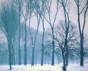 Wanter 19.1._004 My beautiful picture