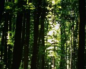 Emgéigend 25.5._002 My beautiful picture