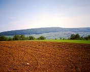 Emgéigend 25.5._008 My beautiful picture