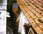 panzer 16.12.86_011 My beautiful picture