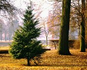 Parc 9.3._005 My beautiful picture