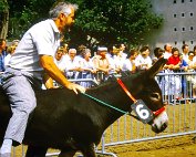Aal Kiermess 12.7.1987 _010 My beautiful picture