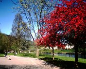 Parc 24.4.1988 _002 My beautiful picture