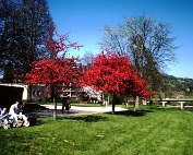 Parc 24.4.1988 _003 My beautiful picture