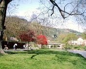 Parc 24.4.1988 _007 My beautiful picture