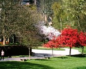 Parc 24.4.1988 _020 My beautiful picture