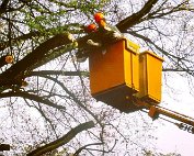 Baam 19.9.89_002 My beautiful picture