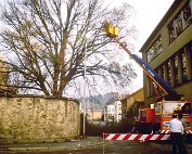 Baam 19.9.89_003 My beautiful picture