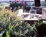 Parc 5.4.1989 _006 My beautiful picture