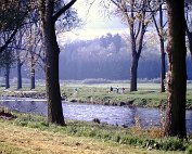 Parc 5.4.1989 _013 My beautiful picture