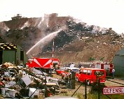 um Tipp 1.8._007 My beautiful picture