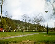 Beem eweg 21.3.1995_006 My beautiful picture