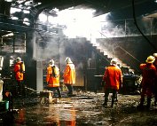 Brand 7.3.1995_006 My beautiful picture