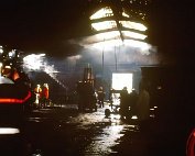 Brand 7.3.1995_007 My beautiful picture