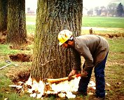 de Ritwee erof 27.2.1995_001 My beautiful picture